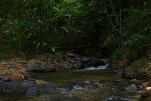 BIB: 
                            <button type="button" onclick="openModal(21852564)" class="btn btn-primary btn-sm float-right btn-popup" data-toggle="modal" data-target=".modal-high-quality">
                        <i class="fas fa-shopping-cart"></i> Add to Cart
                    </button>
                                            <button type="button" onclick="isThisMe(21852564, true)" class="btn btn-success btn-sm float-right btn-popup btn-isme hidden" data-toggle="tooltip" data-placement="bottom" title="นี่คือรูปของคุณใช่ไหม คลิกที่นี่เพื่อเอาเข้าอัลบั้ม">
                        <i class="fas fa-plus"></i> Add to album
                    </button>
                    <button type="button" onclick="isThisMe(21852564, false)" class="btn btn-warning btn-sm float-right btn-popup btn-isnotme hidden">
                        <i class="fas fa-ban"></i> Remove from album
                    </button>